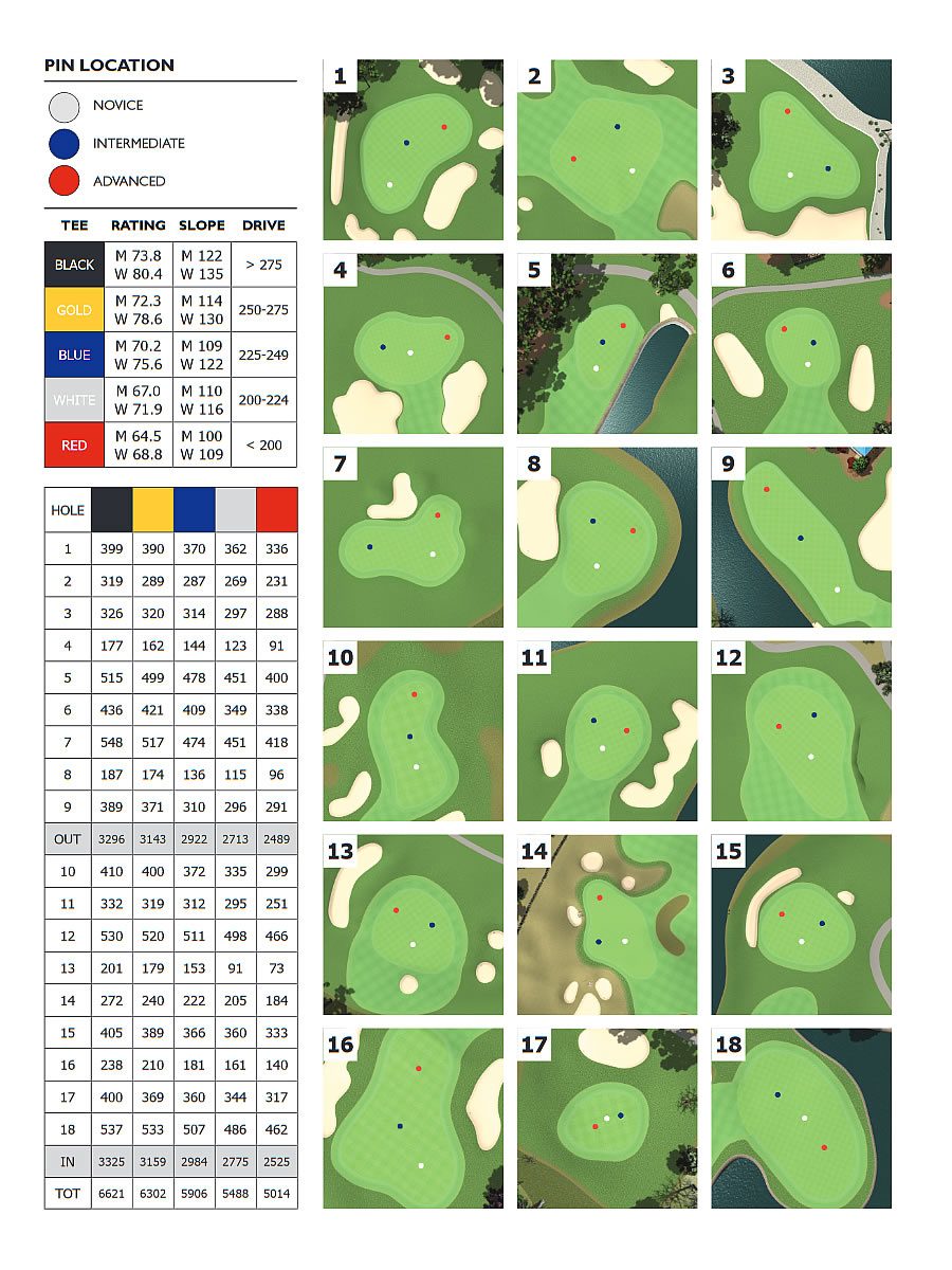 The Myrtle Beach Tour